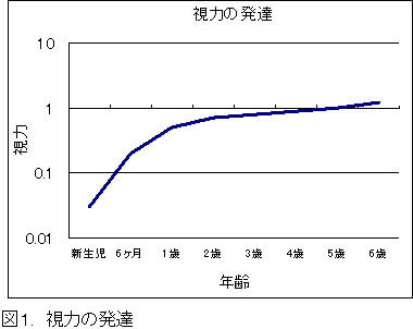 視力の発達