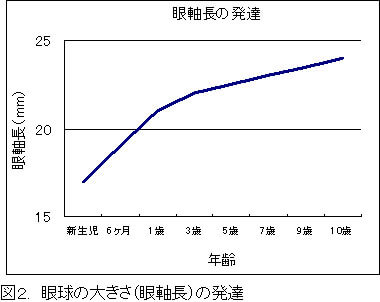 眼球の大きさの発達